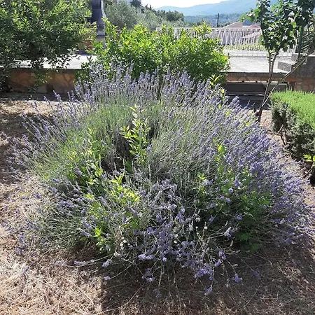 Jelsa Διαμέρισμα Jelsa (Hvar)