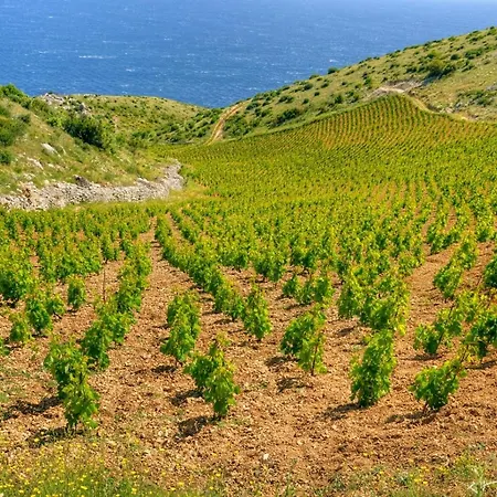 Διαμέρισμα Jelsa Jelsa (Hvar)